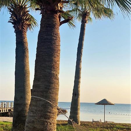 Relaxing Penthouse Suites By The Sea Vokolidha ภายนอก รูปภาพ