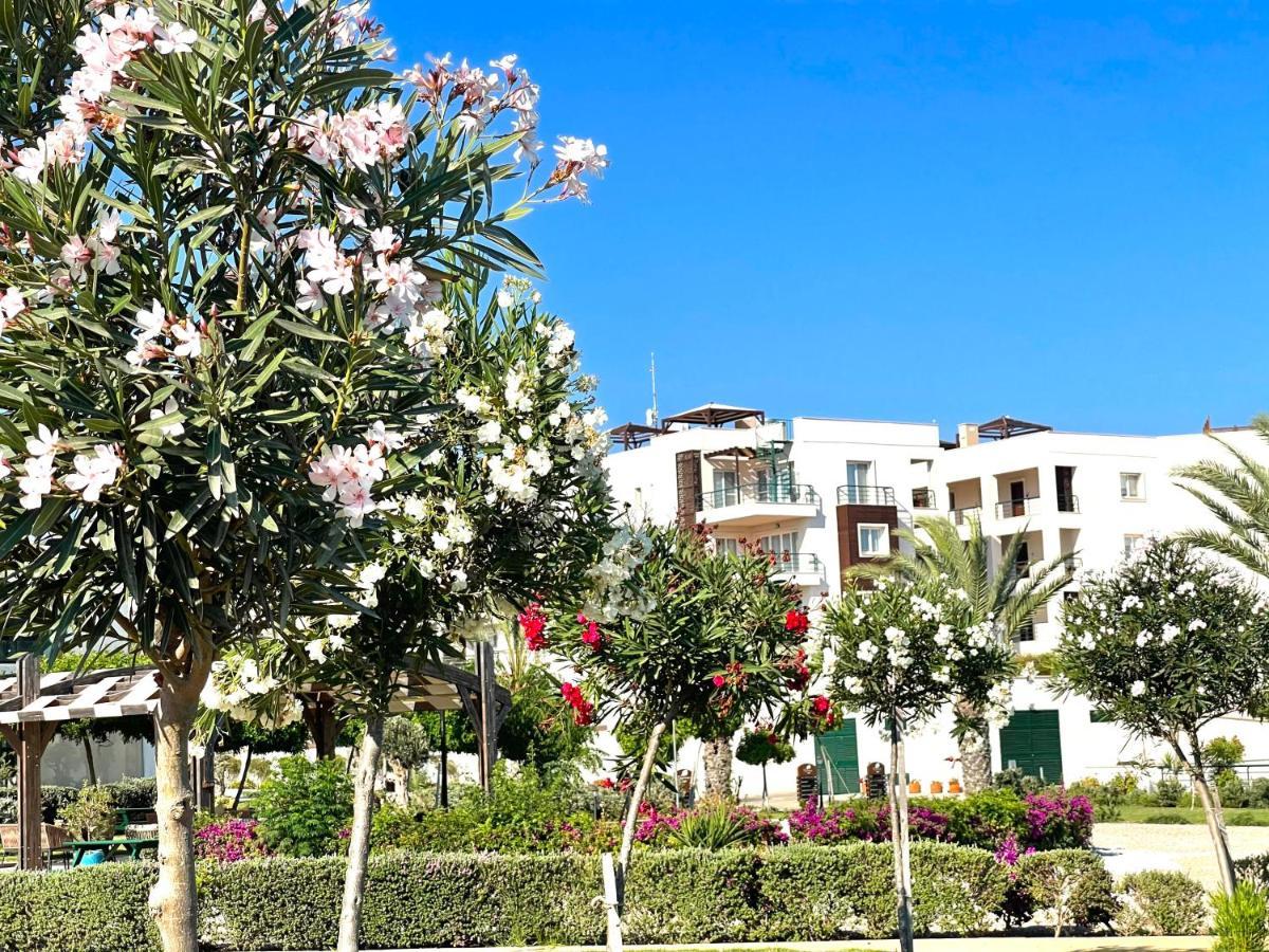 Relaxing Penthouse Suites By The Sea Vokolidha ภายนอก รูปภาพ